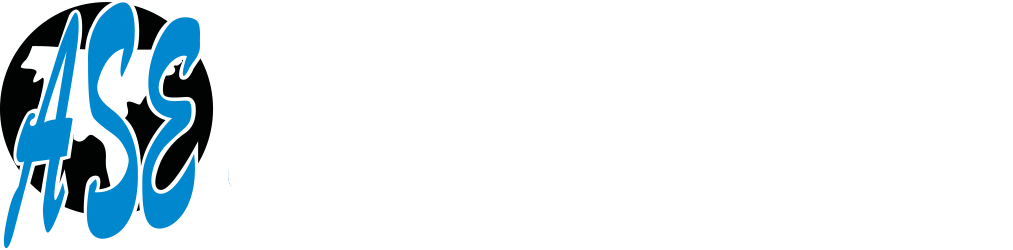 All South Electric